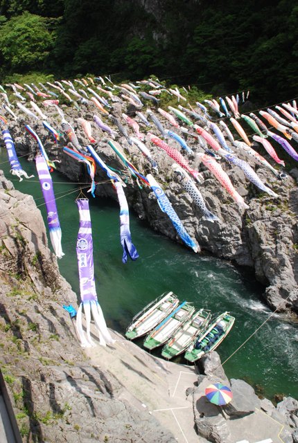 "Carp streamers in Oboke Gorge" Period: April-May