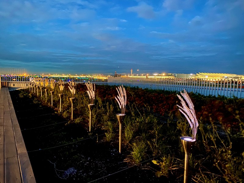 "HANEDA INNOVATION CITY" Opens On July 3