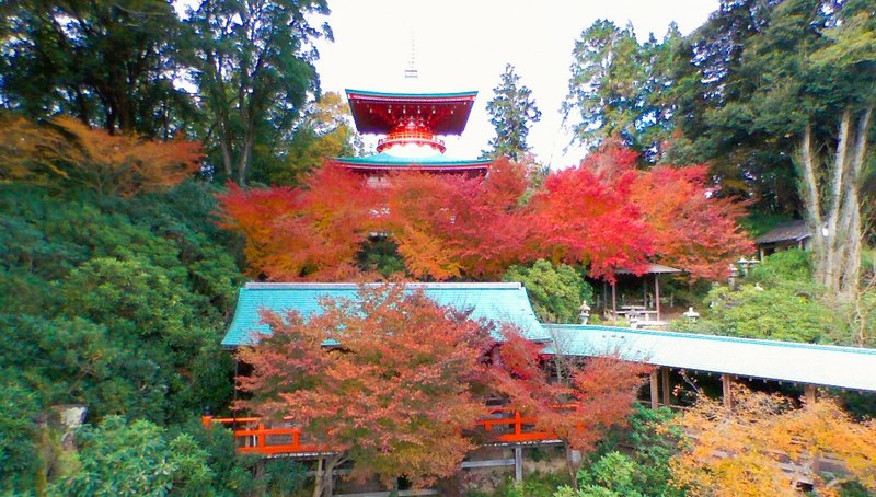 Visit Takeo, Saga For Spectacular Foliage