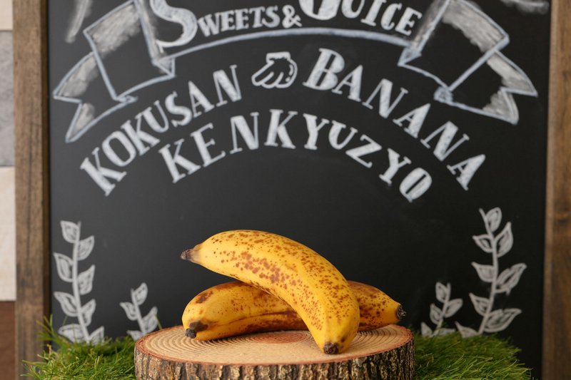 "Sweets & Juice Domestic Banana Research Institute" Popup Opened in Kitasenju Marui