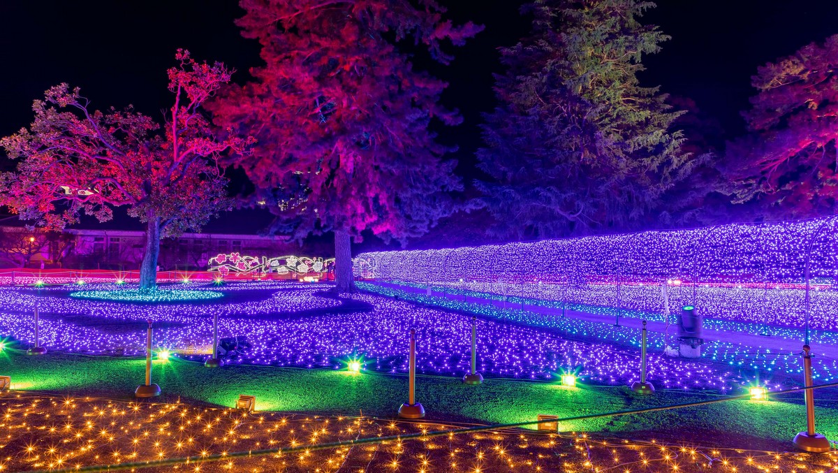 Odawara Castle Spring Lights Event-Light Corridor- Starts Tonight!