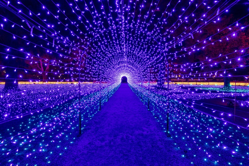 Odawara Castle Spring Lights Event-Light Corridor- Starts Tonight!