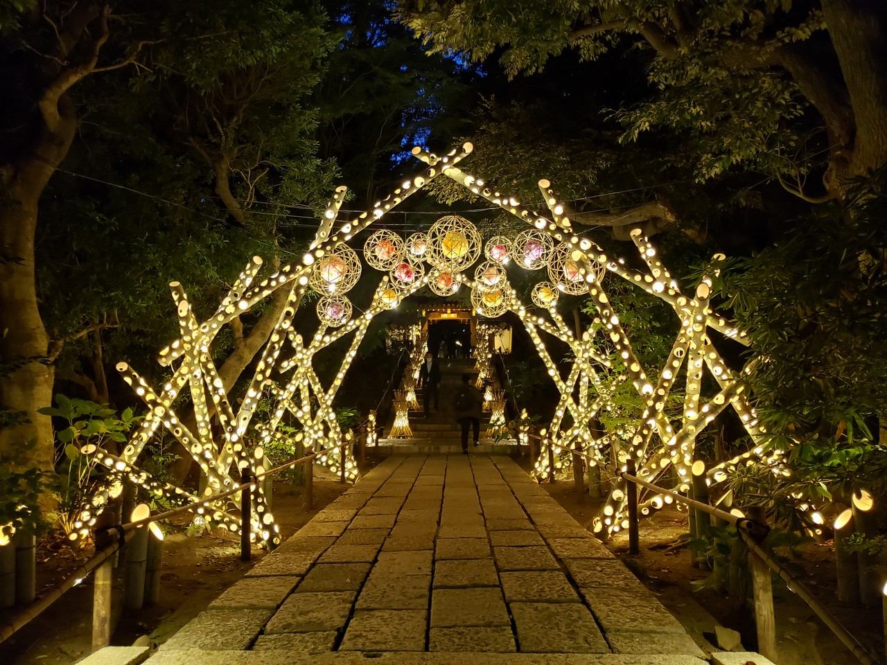 Digital Flower Park "HANA BIYORI" Features Bamboo Art This Year