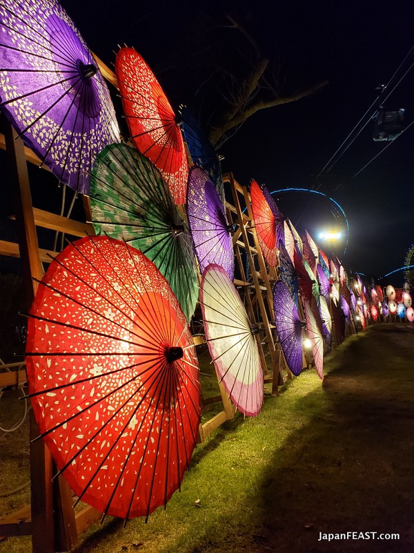 Digital Flower Park "HANA BIYORI" Features Bamboo Art This Year