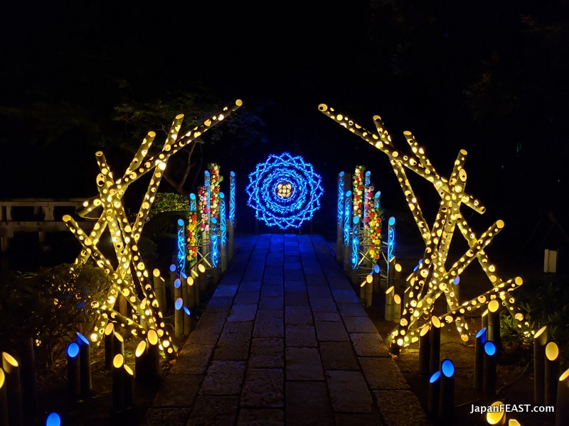 Digital Flower Park "HANA BIYORI" Features Bamboo Art This Year