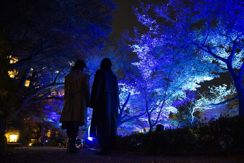 A Tokyo Japanese Garden Hosts Winter Night Festival