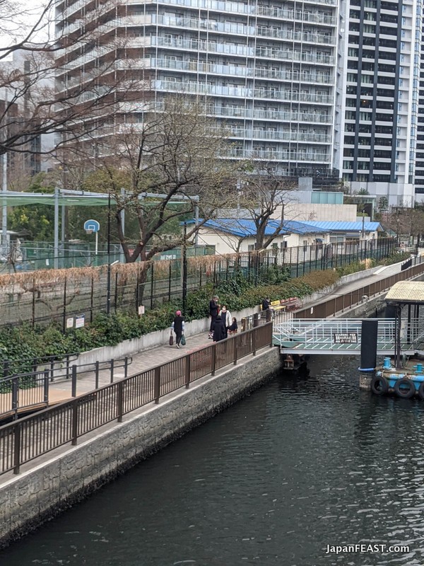 The Best Tokyo Cherry Blossom Viewing Cruise