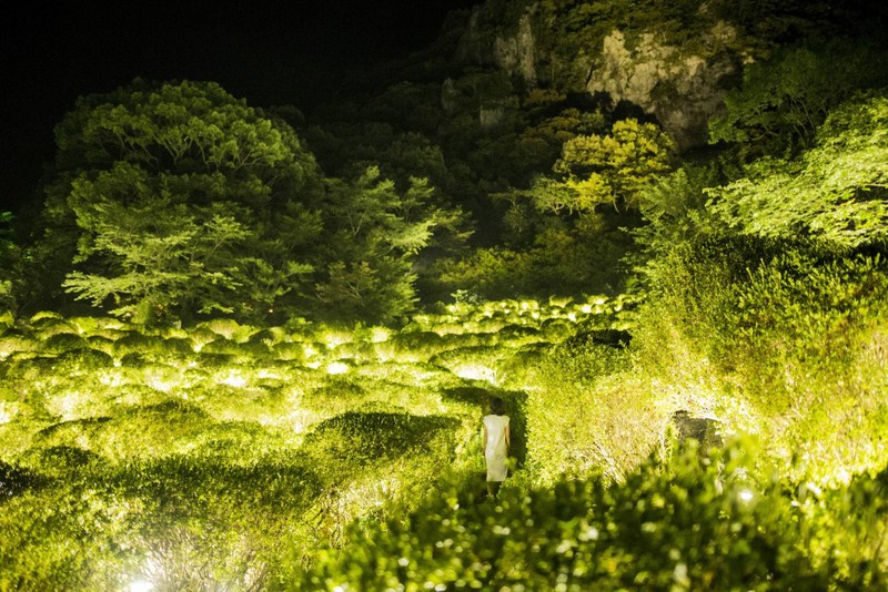 A Forest Where Gods Live Digitizes an Ancient Forest into an Interactive Art Space