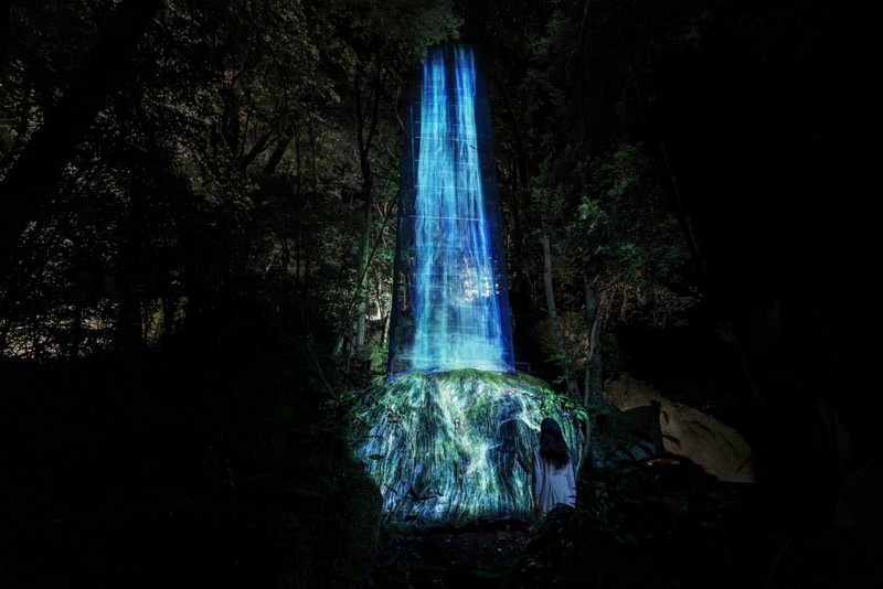 A Forest Where Gods Live Digitizes an Ancient Forest into an Interactive Art Space