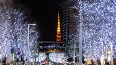 Roppongi Hills Christmas 2024: A Dazzling Winter Wonderland of Lights in Tokyo