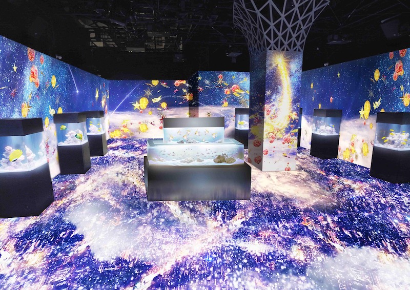 NAKED STAR AQUARIUM 2024: Immersive Holiday Event at Maxell Aqua Park Shinagawa