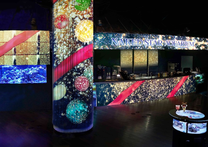 NAKED STAR AQUARIUM 2024: Immersive Holiday Event at Maxell Aqua Park Shinagawa