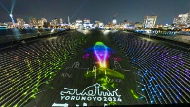 Yokohama Winter Lights: A Magical Experience!