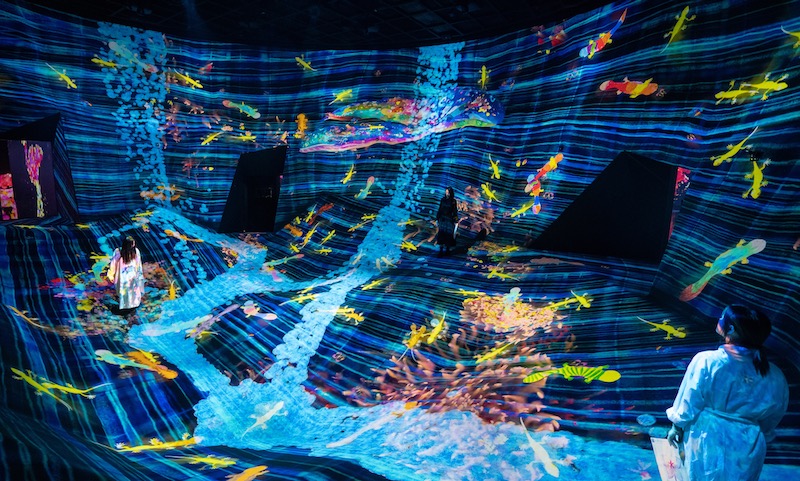 teamLab Planets TOKYO is Expanding in 2025: Get Ready for More Immersive Art!