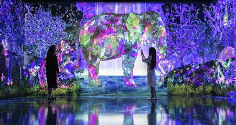 teamLab Planets TOKYO is Expanding in 2025: Get Ready for More Immersive Art!